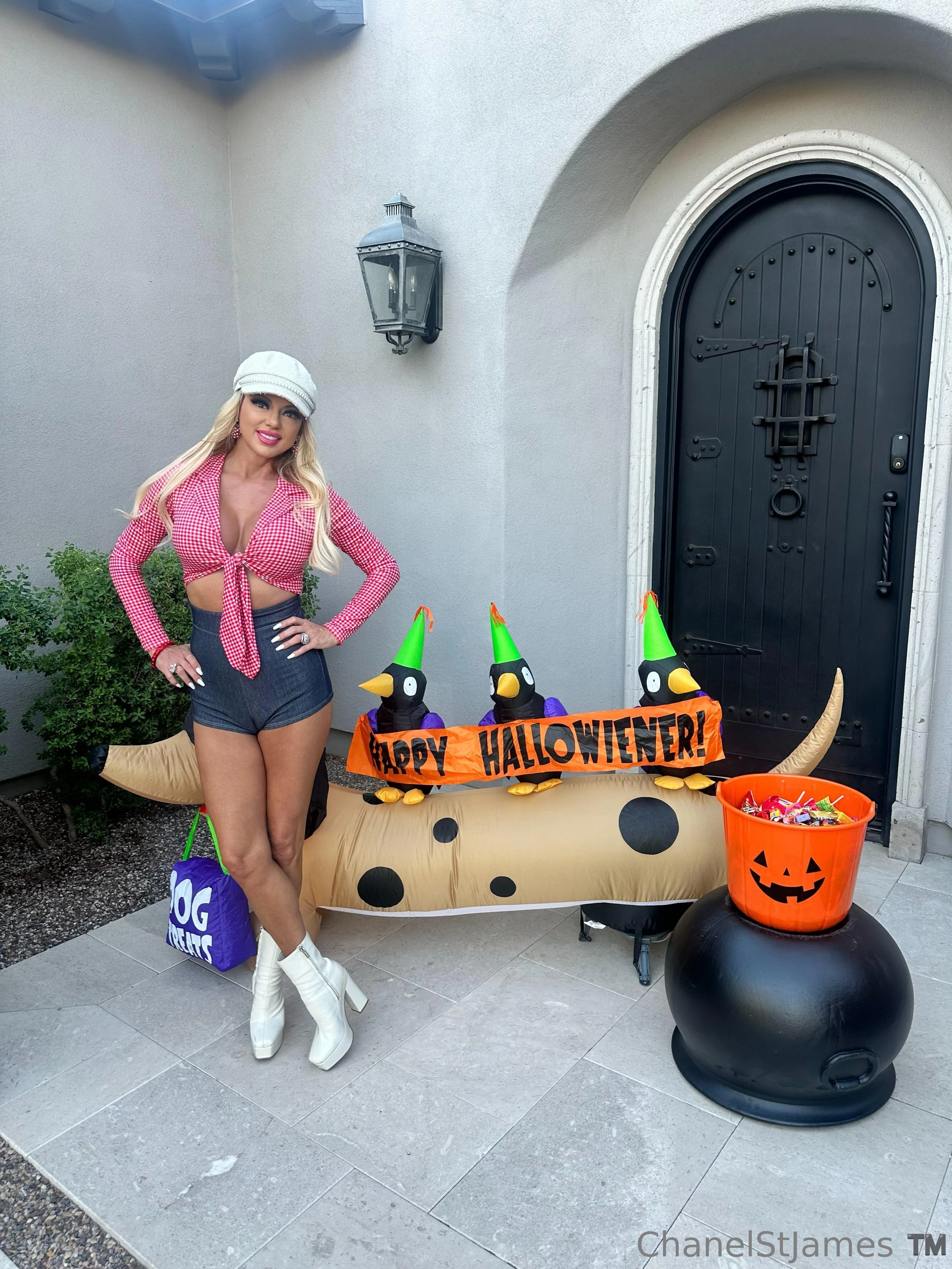 Chanel St. James photo #25