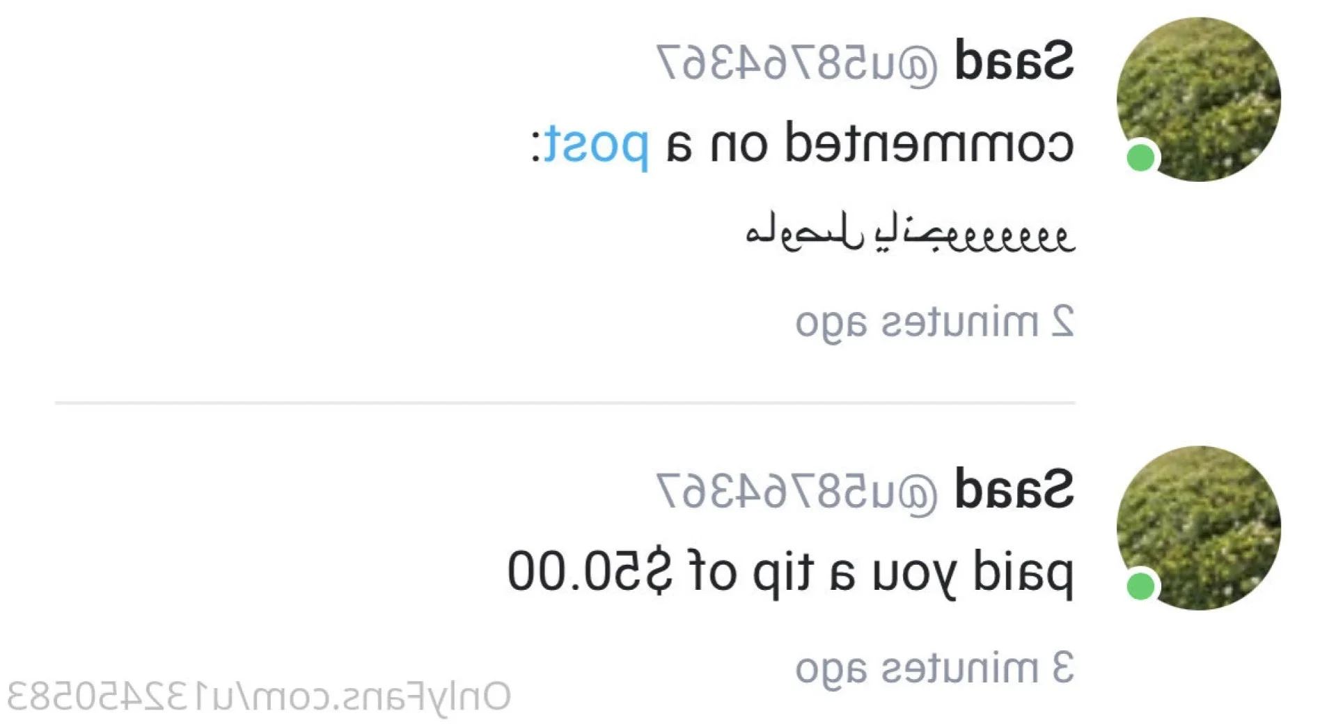 StallionFree 🐎 photo #14